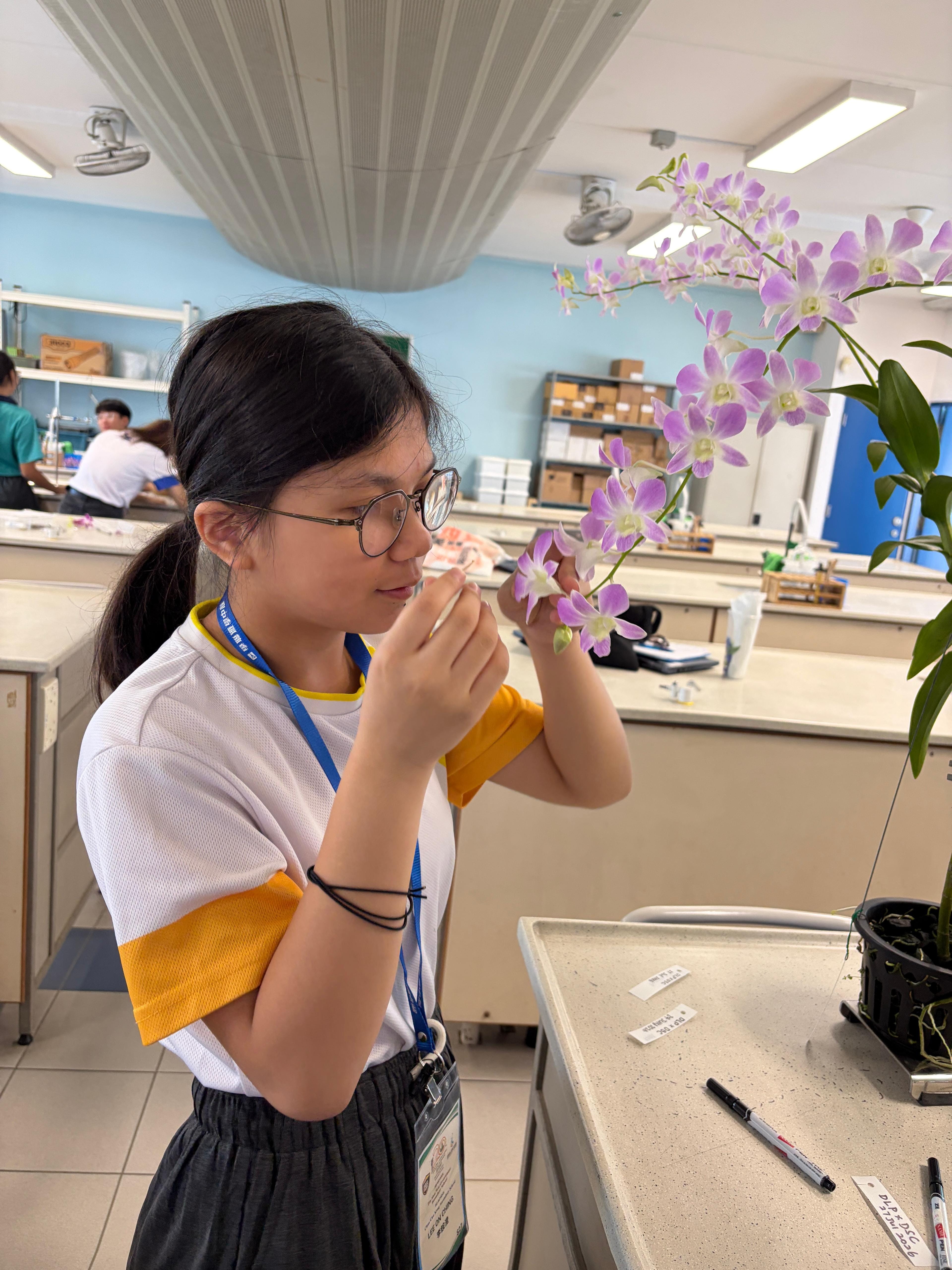 Student trying to hybridise an orchid